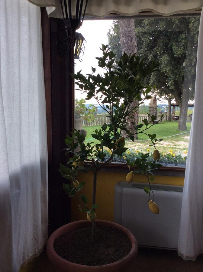 Borgo Della Molara Hotel Grottaferrata Buitenkant foto