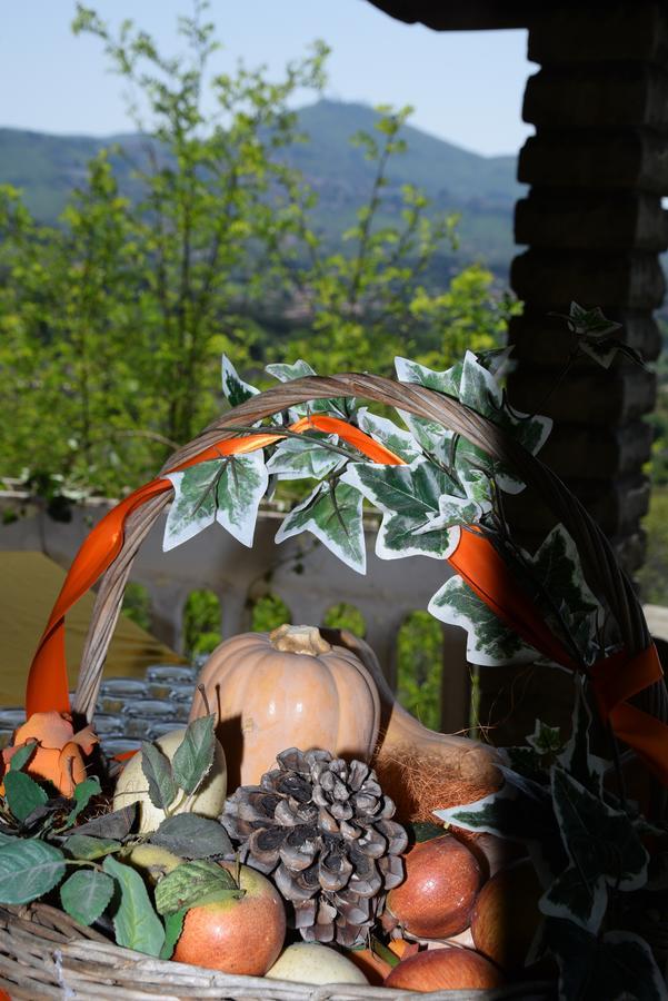Borgo Della Molara Hotel Grottaferrata Buitenkant foto